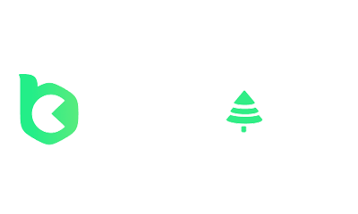 BC.game logo