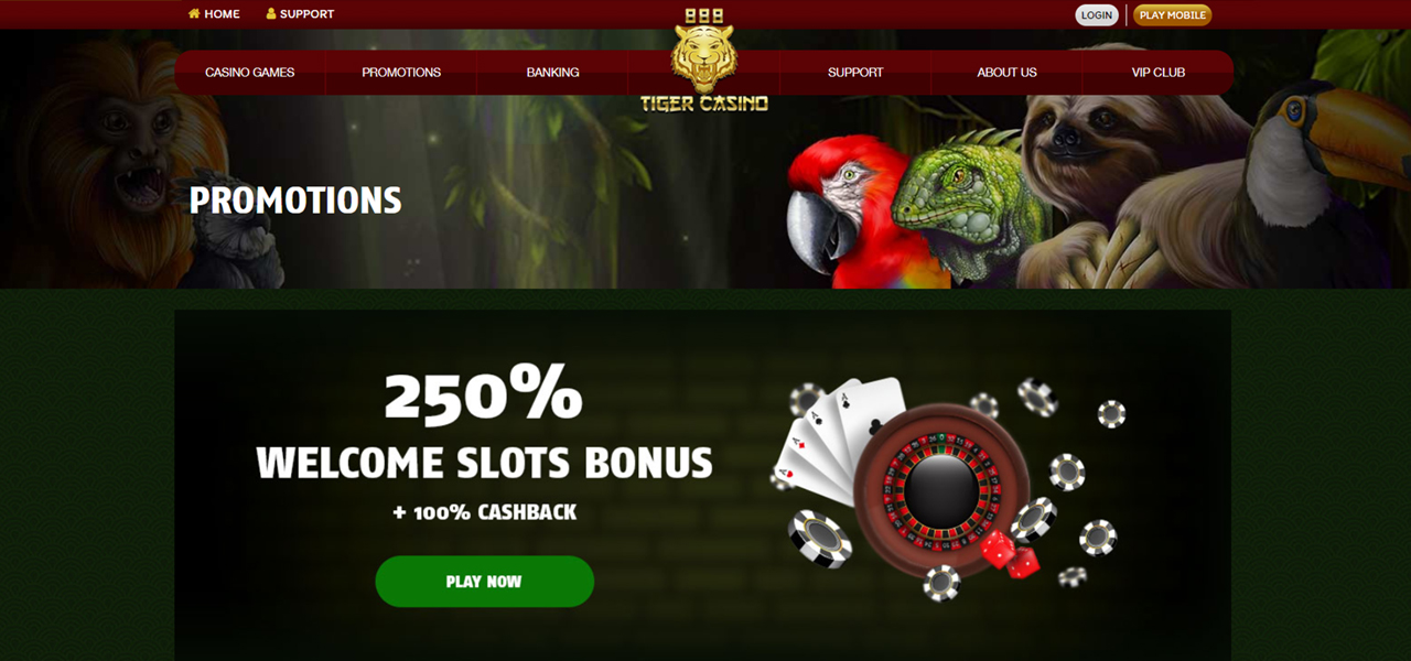 888 tiger casino bonus codes